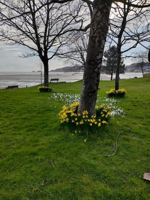 Fishermen'S Cottage With Log Burner, 2 Bathrooms & Sea Views From Garden Terraces The Mumbles Kültér fotó
